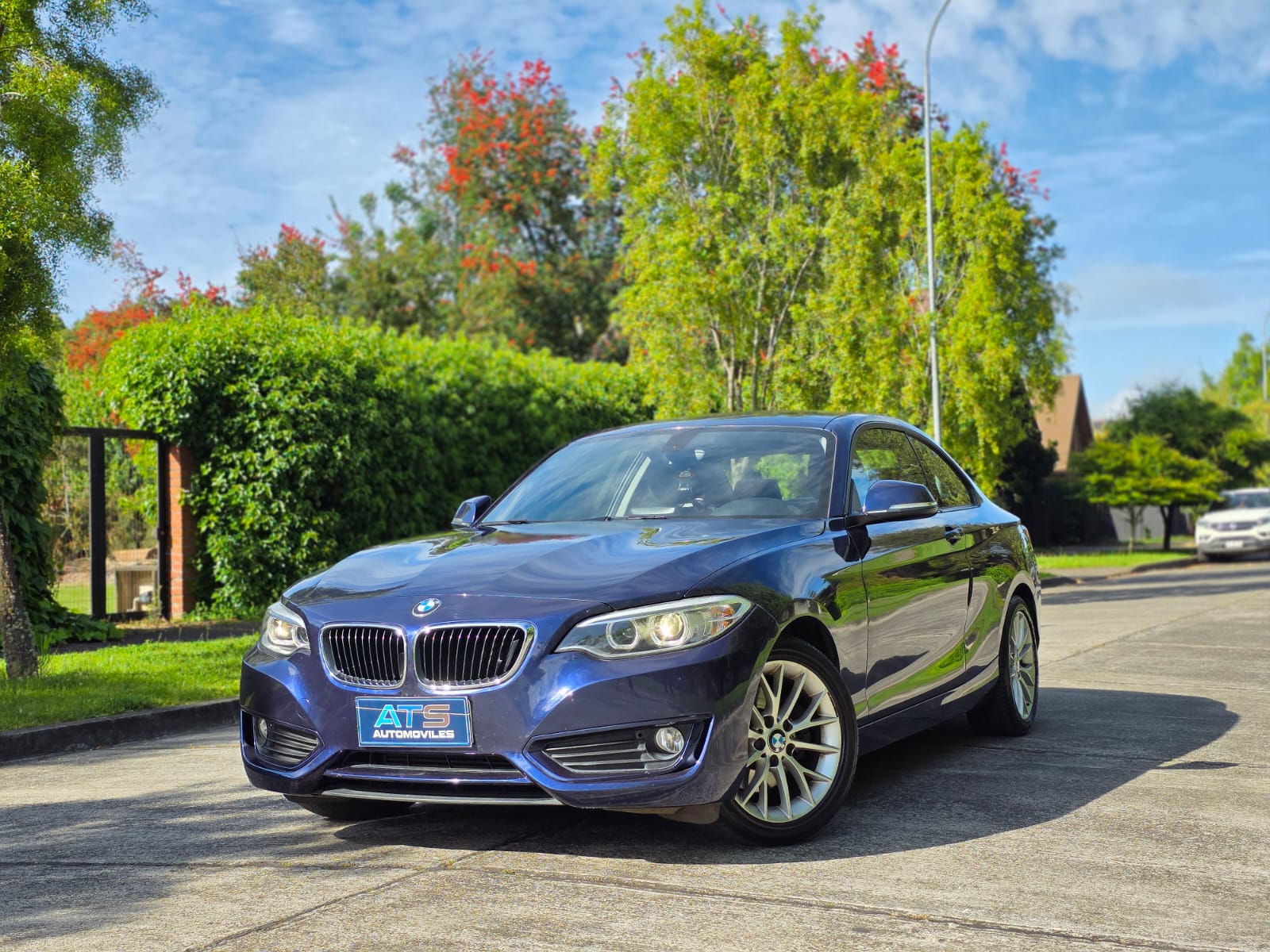 
								BMW 220i Coupe 2.0 AT full									
