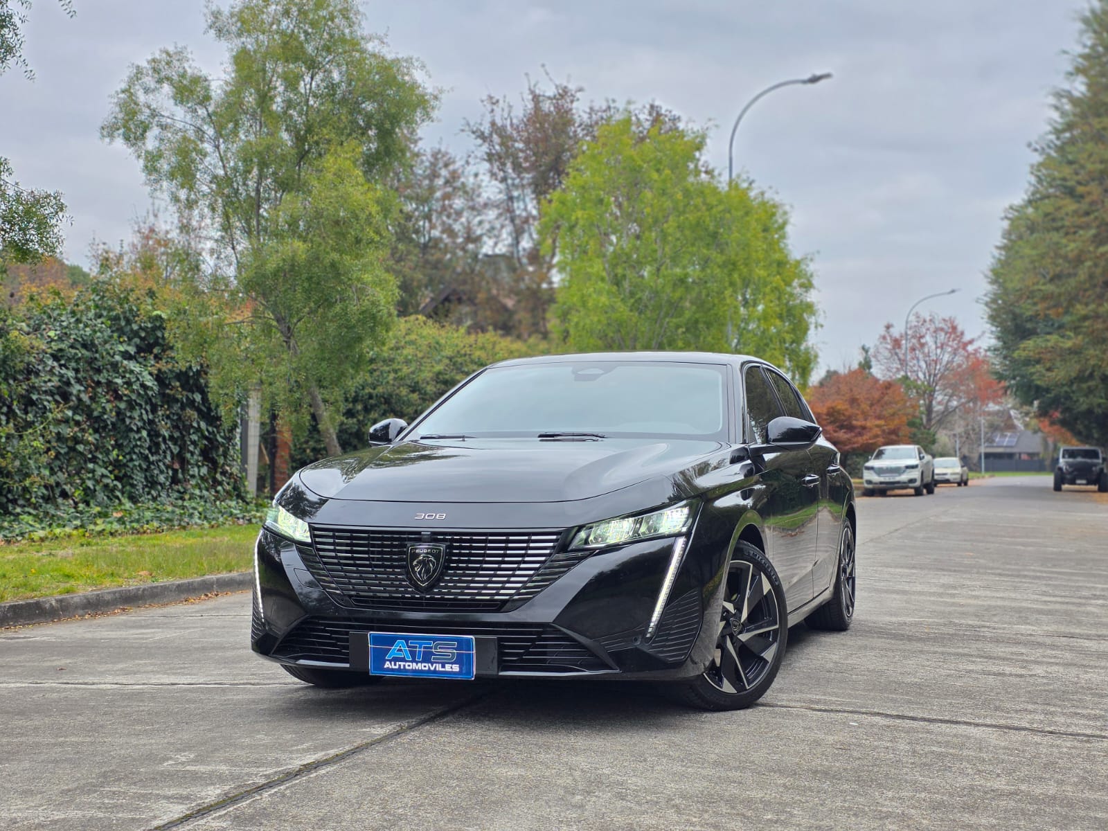 
								Peugeot 308 ALLURE full									