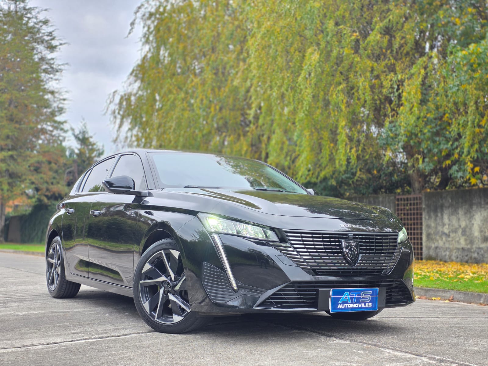 
								Peugeot 308 ALLURE full									
