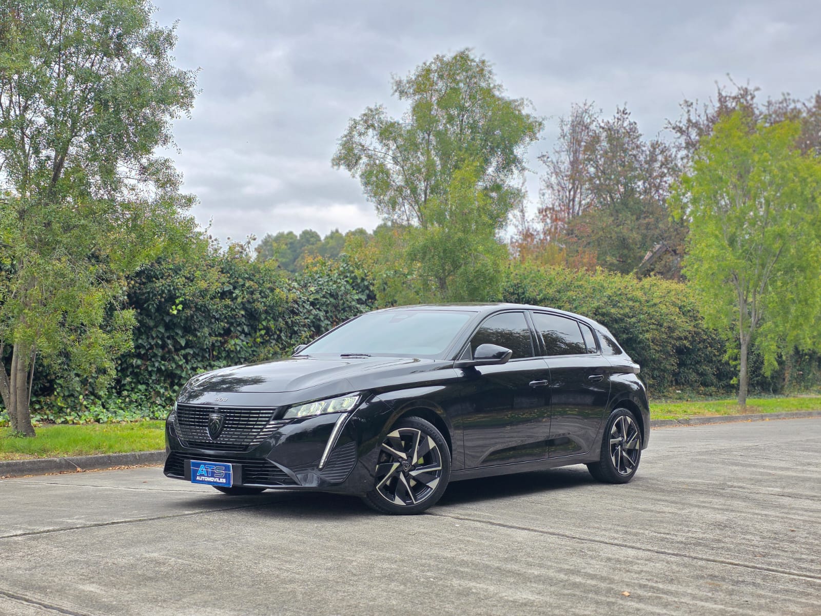 
								Peugeot 308 ALLURE full									
