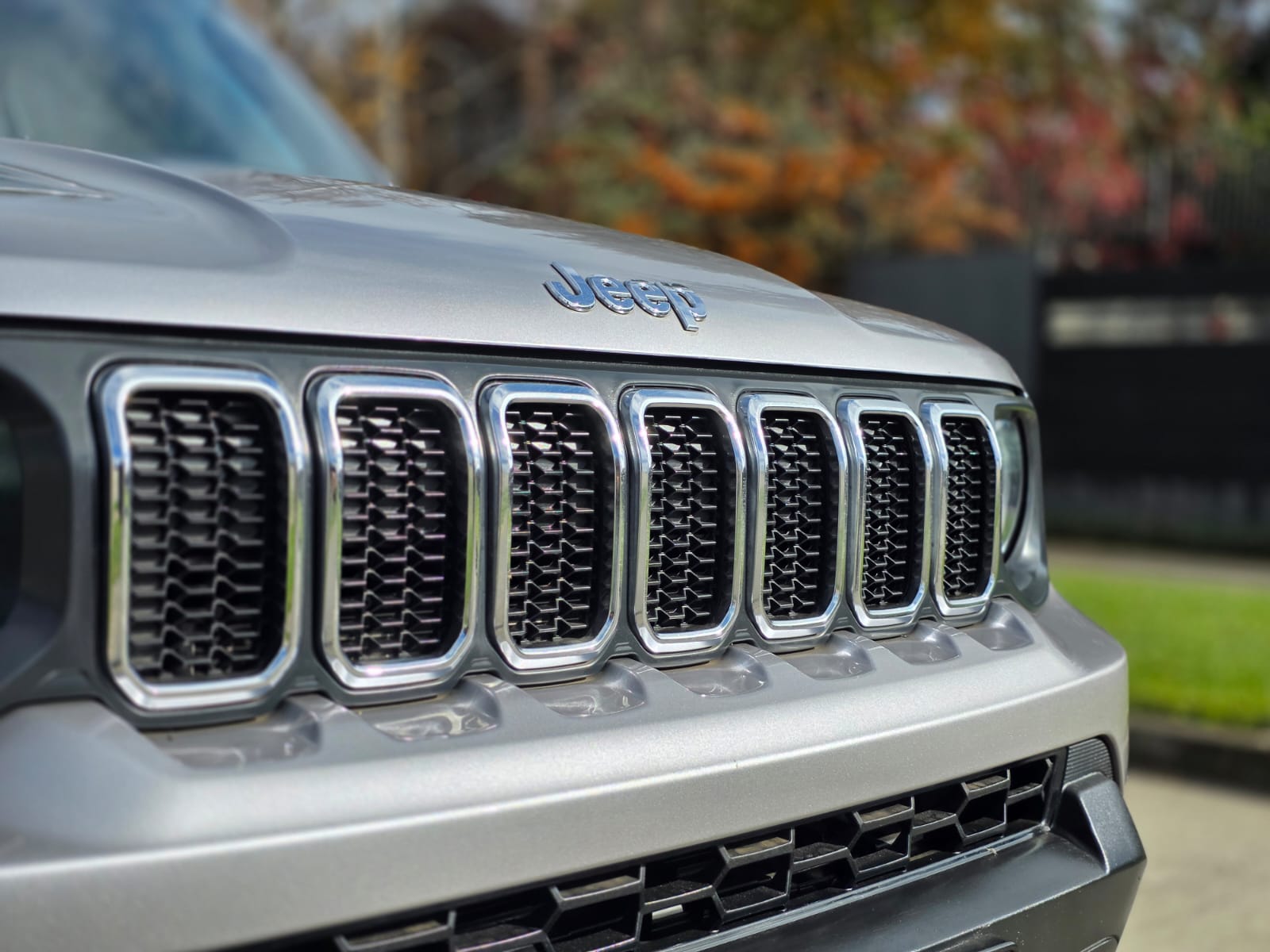 
								Jeep Renegade full									