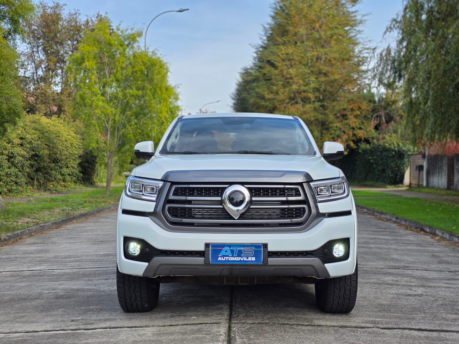 
								Great Wall New Poer PLUS ELITE full									