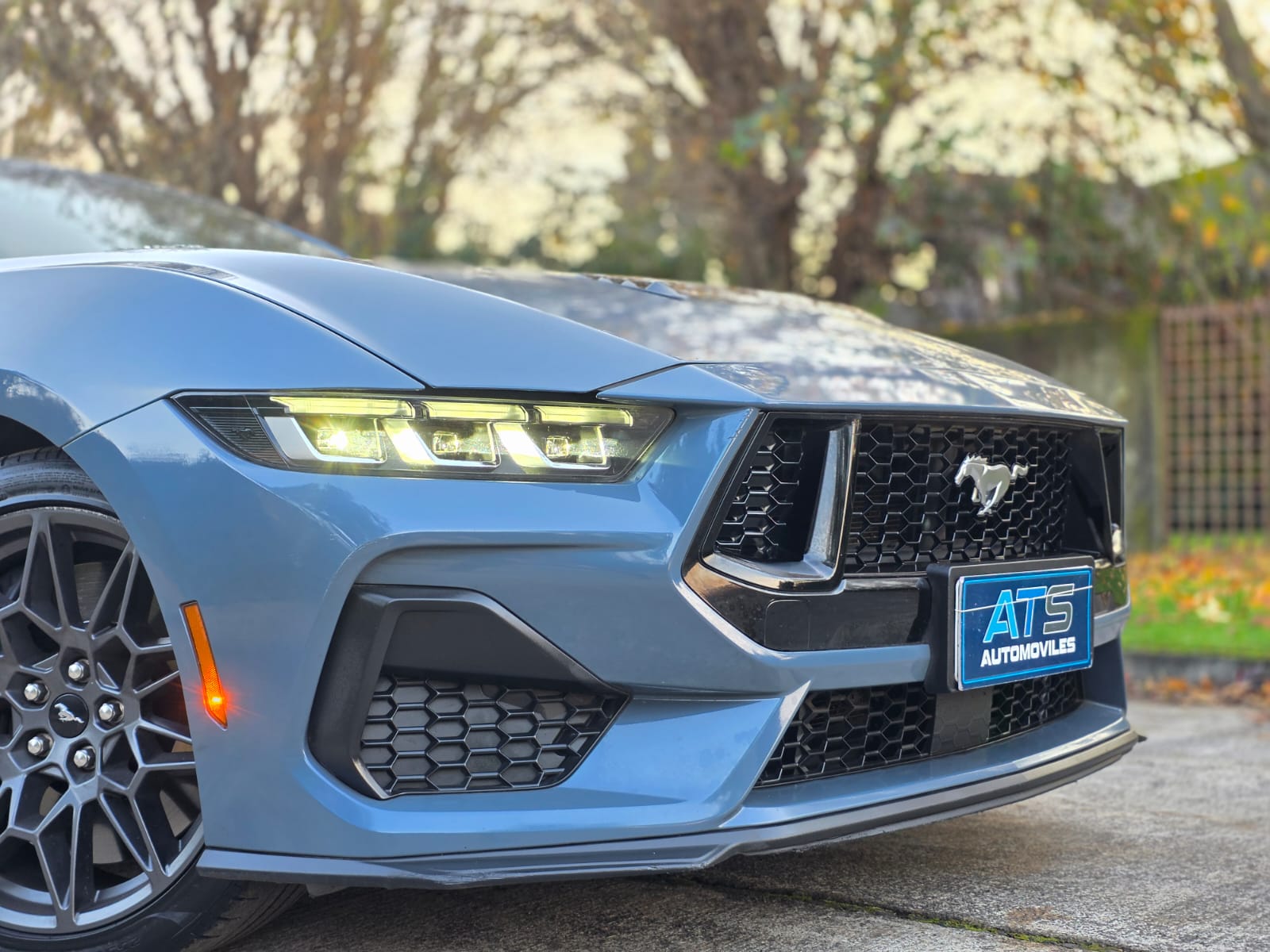 
								Ford Mustang Coupé GT Premium full									