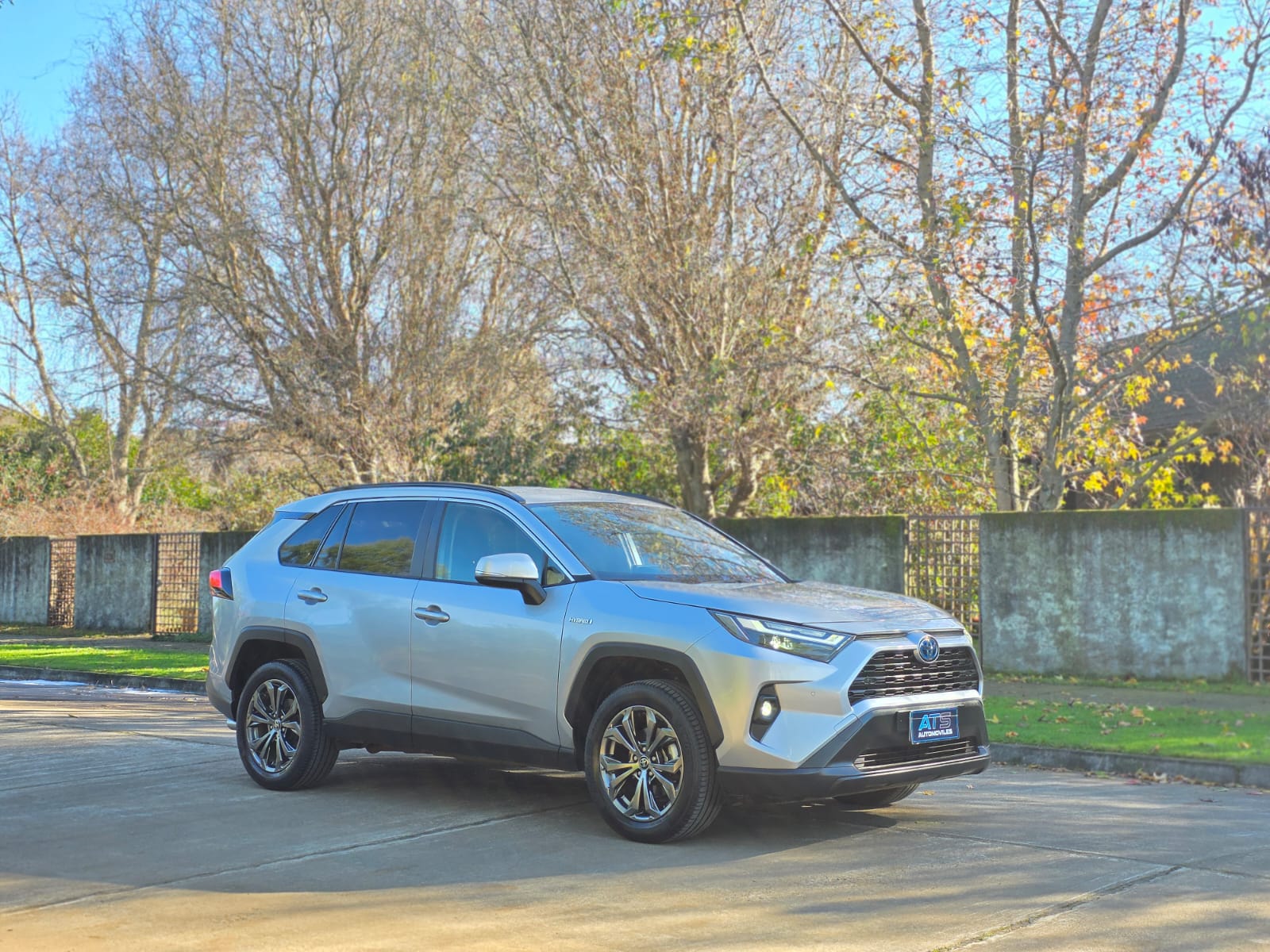 
								Toyota RAV4 XLE CVT full									