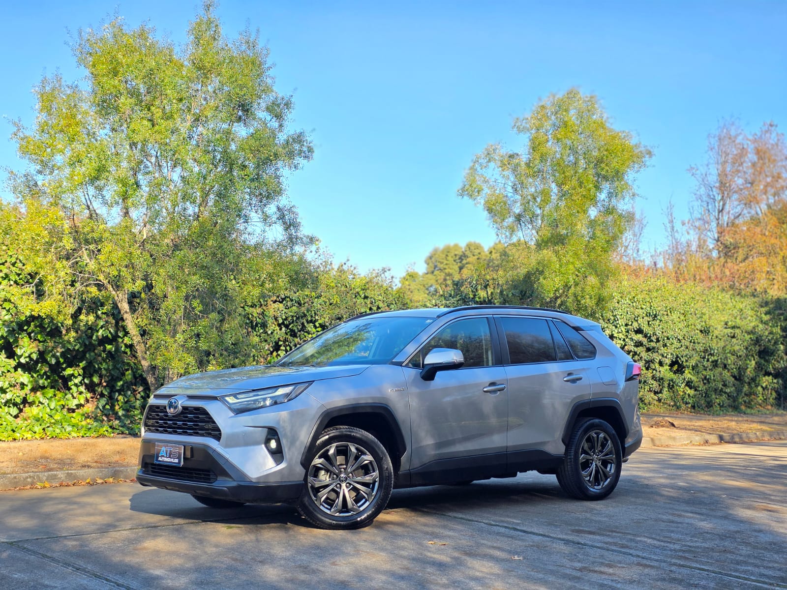 
								Toyota RAV4 XLE CVT full									