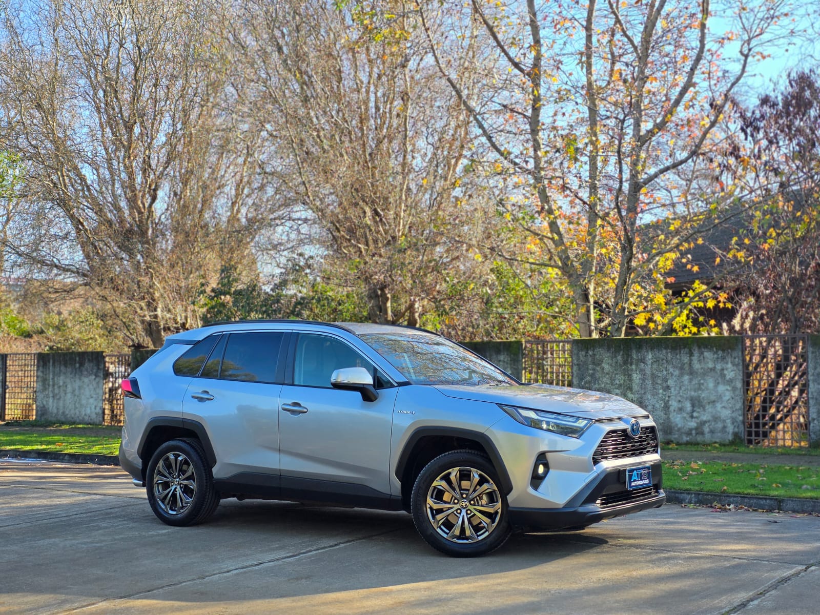 
								Toyota RAV4 XLE CVT full									